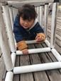 人气：447  上传时间：2019/3/29 10:45:00