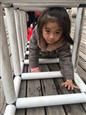 人气：480  上传时间：2019/3/29 10:45:02