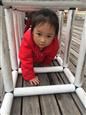 人气：480  上传时间：2019/3/29 10:45:03