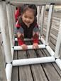 人气：484  上传时间：2019/3/29 10:45:08