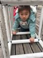 人气：477  上传时间：2019/3/29 10:45:09