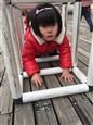 人气：451  上传时间：2019/3/29 10:45:11