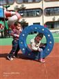 人气：477  上传时间：2019/4/2 15:38:39
