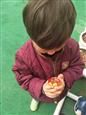 人气：497  上传时间：2019/4/3 14:07:10