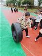 人气：521  上传时间：2019/4/3 12:53:01