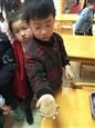 人气：319  上传时间：2019/4/4 14:26:59
