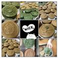 人气：344  上传时间：2019/4/4 14:27:04