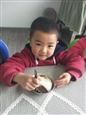 人气：506  上传时间：2019/4/4 11:03:24