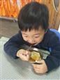 人气：514  上传时间：2019/4/4 11:03:54