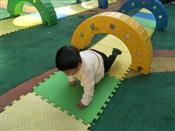 人气：527  上传时间：2019/4/4 11:09:13