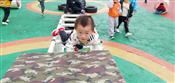 人气：519  上传时间：2019/4/11 13:15:53