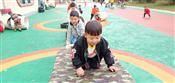 人气：505  上传时间：2019/4/11 13:15:54