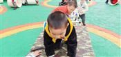 人气：478  上传时间：2019/4/11 13:15:59