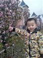 人气：467  上传时间：2019/4/15 16:39:29