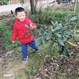 人气：505  上传时间：2019/4/15 16:39:32