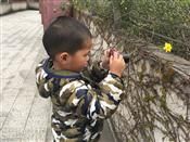 人气：525  上传时间：2019/4/15 16:39:32