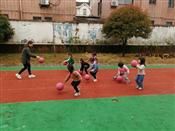 人气：511  上传时间：2019/4/18 16:23:57