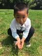 人气：507  上传时间：2019/4/18 7:48:28