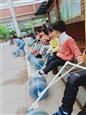 人气：514  上传时间：2019/4/19 10:02:38