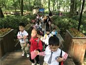 人气：538  上传时间：2019/4/19 10:20:22