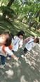 人气：482  上传时间：2019/4/19 11:54:53