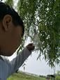 人气：497  上传时间：2019/4/19 12:15:39