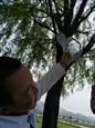 人气：507  上传时间：2019/4/19 12:15:44