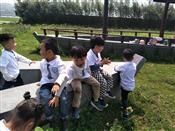 人气：525  上传时间：2019/4/19 12:15:59