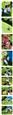 人气：604  上传时间：2019/4/22 16:22:00