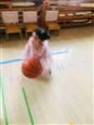 人气：566  上传时间：2019/4/25 17:27:09