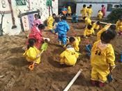 人气：491  上传时间：2019/4/26 7:58:05