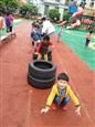 人气：497  上传时间：2019/4/26 10:10:04