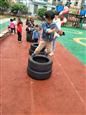 人气：509  上传时间：2019/4/26 10:10:12