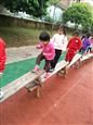 人气：465  上传时间：2019/4/26 10:10:22
