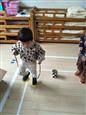 人气：486  上传时间：2019/4/26 10:11:43
