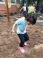 人气：539  上传时间：2019/4/30 13:29:24