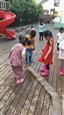 人气：521  上传时间：2019/4/30 13:29:33