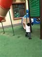 人气：523  上传时间：2019/4/30 13:34:30