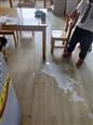人气：488  上传时间：2019/5/5 13:57:07