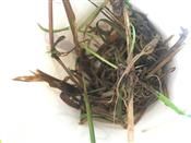 人气：284  上传时间：2019/5/8 14:30:48