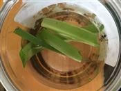 人气：254  上传时间：2019/5/8 14:30:50