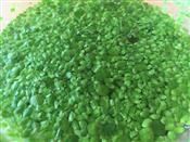 人气：265  上传时间：2019/5/8 14:30:51