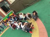 人气：460  上传时间：2019/5/10 16:43:35