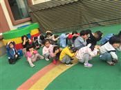 人气：443  上传时间：2019/5/10 16:43:58