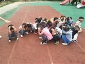 人气：481  上传时间：2019/5/16 7:51:09