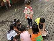 人气：253  上传时间：2019/5/17 15:45:52