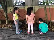 人气：279  上传时间：2019/5/17 15:45:54