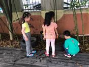 人气：201  上传时间：2019/5/17 11:51:50