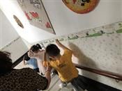 人气：253  上传时间：2019/5/23 15:37:22