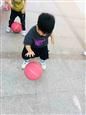人气：513  上传时间：2019/5/23 16:24:57